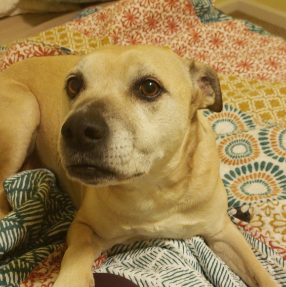 Meet your Posher, Mckenna - Picture 1 of 1